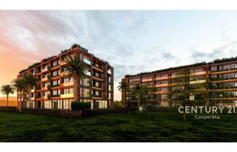 Apartament 1+1