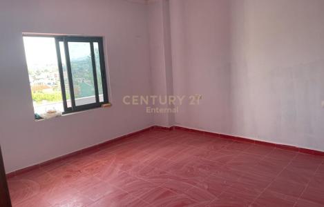 Apartment 1+1