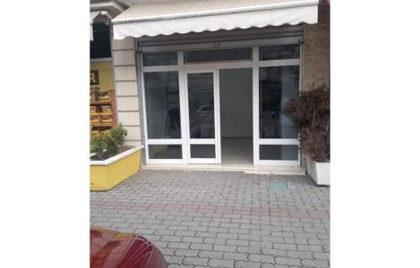 Njesi Biznesi