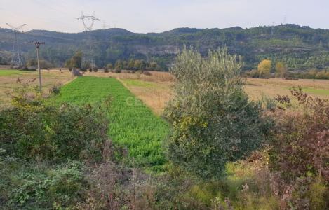 Land