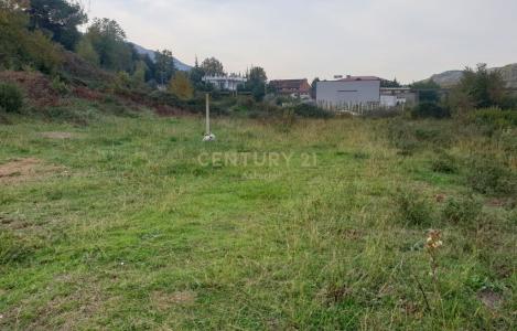 Land