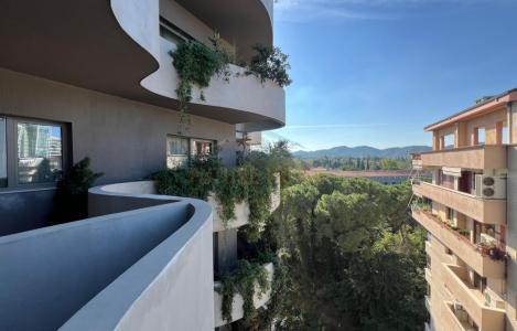 Apartment 1+1