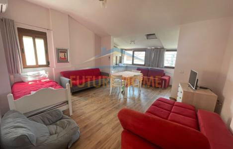 Apartament 1+1