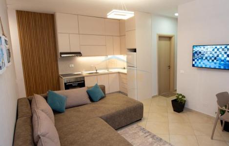Apartment 1+1