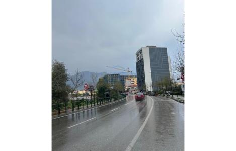 Njesi Biznesi