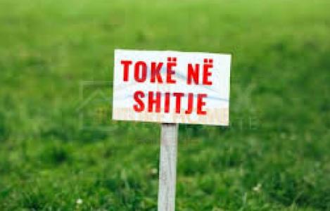 Toke