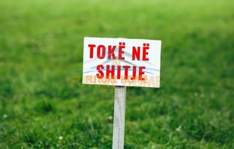 Toke