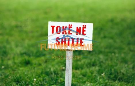 Toke