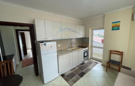 Apartment 1+1