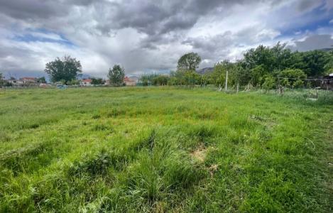 Land