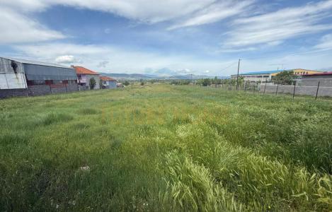 Land