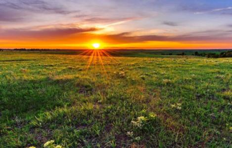 Land