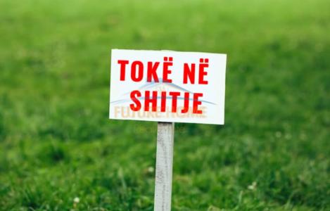 Toke