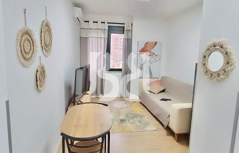 Apartament 1+1