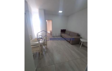 Apartment 1+1