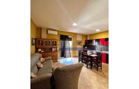 Apartment 1+1