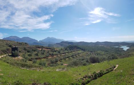 Terreno
