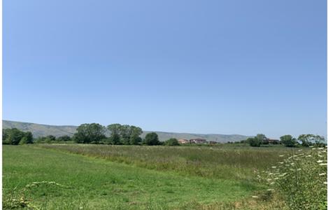 Terreno