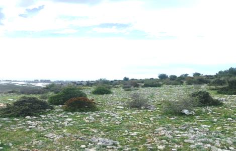 Terreno