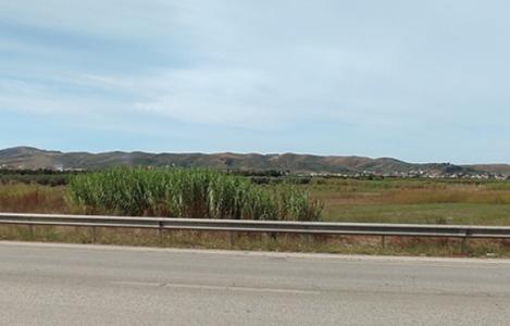 Terreno