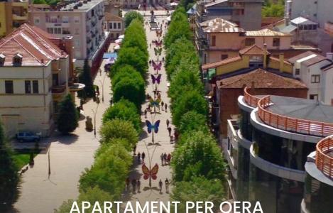 Apartament 1+1