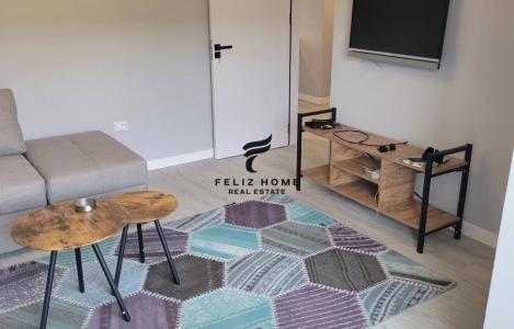 Apartament 1+1