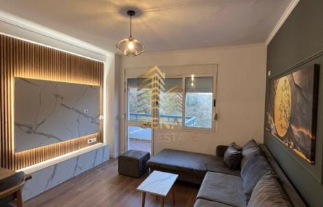 Apartament 1+1