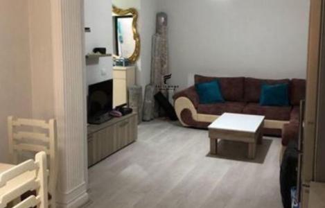 Apartment 1+1