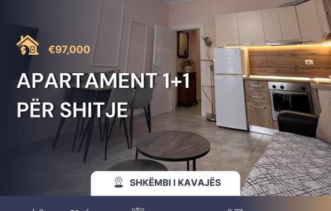 Apartament 1+1