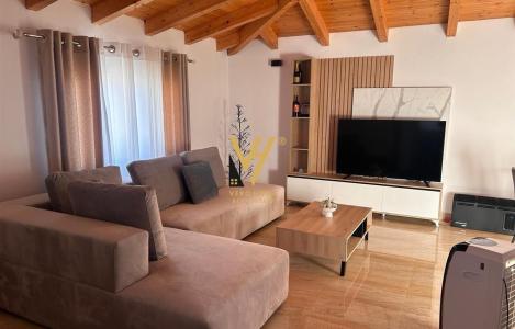 Apartment 1+1