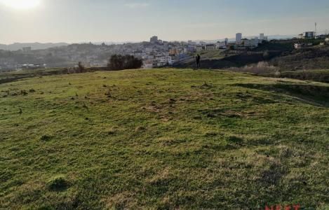 Land