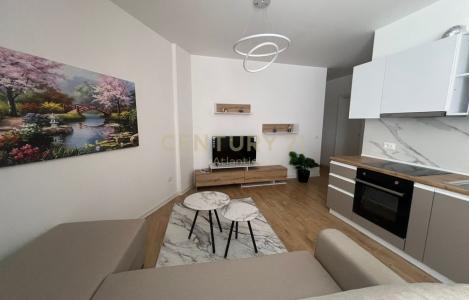 Apartament 1+1