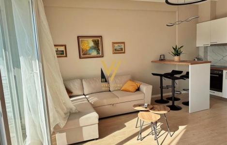 Apartment 1+1