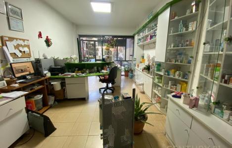 Njesi Biznesi
