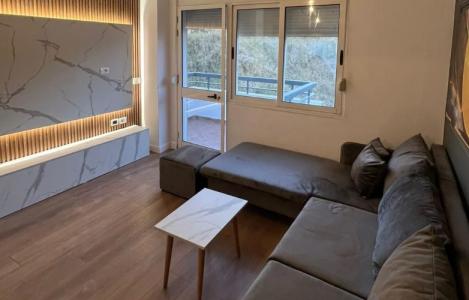 Apartament 1+1