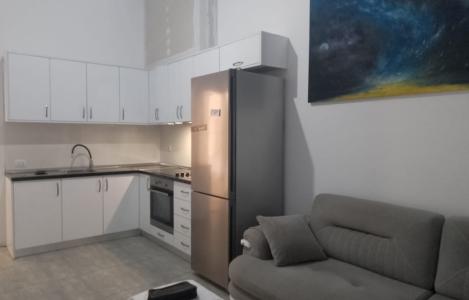 Apartament 1+1