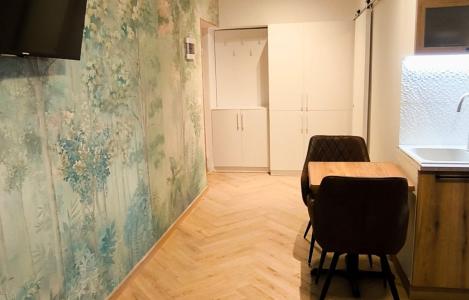 Apartment 1+1