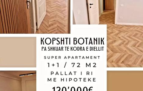 Apartament 1+1