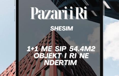 Apartament 1+1