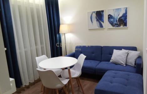 Apartament 1+1