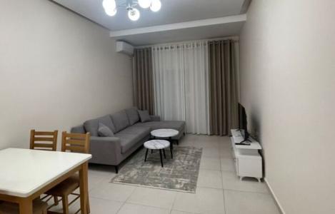 Apartament 1+1