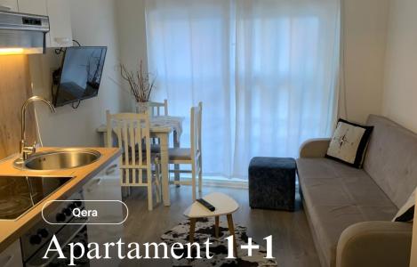 Apartment 1+1