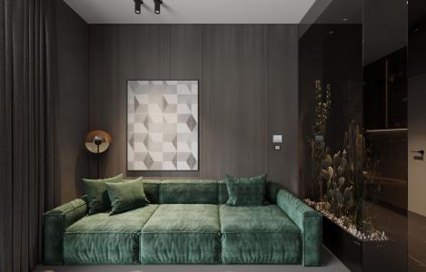 Apartment 1+1