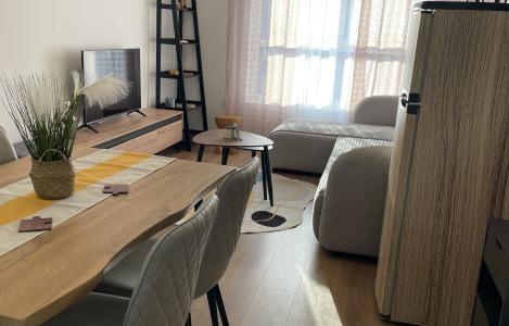 Apartament 1+1