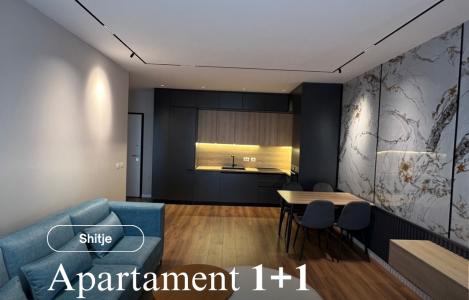 Apartment 1+1