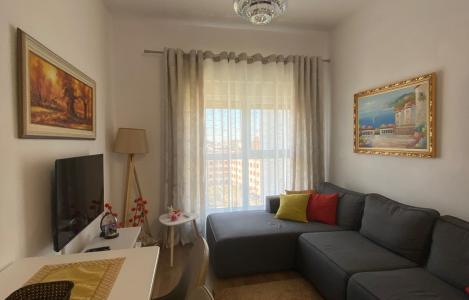 Apartment 1+1