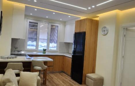 Apartment 1+1