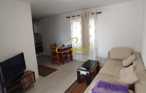 Apartament 1+1
