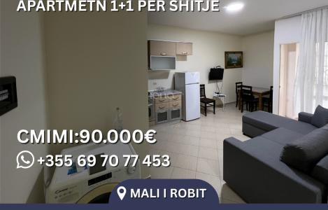 Apartamento  1+1