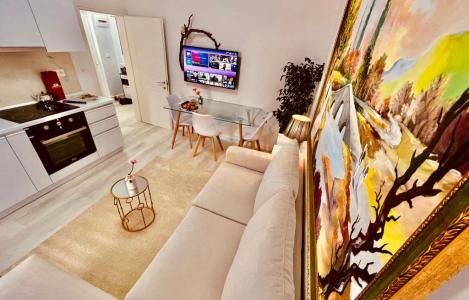 Apartment 1+1